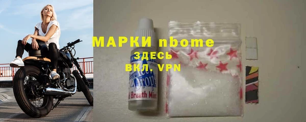 mdpv Бородино